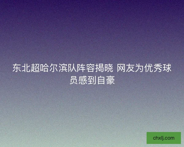 东北超哈尔滨队阵容揭晓 网友为优秀球员感到自豪