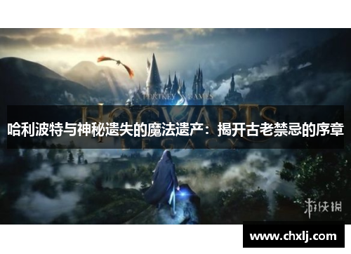 哈利波特与神秘遗失的魔法遗产：揭开古老禁忌的序章