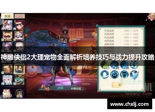 神雕侠侣2大理宠物全面解析培养技巧与战力提升攻略