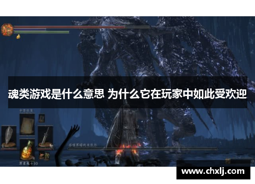 魂类游戏是什么意思 为什么它在玩家中如此受欢迎