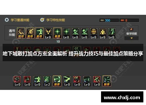 地下城散打加点方案全面解析 提升战力技巧与最佳加点策略分享