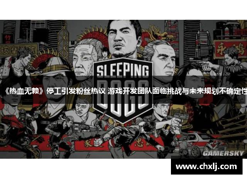 《热血无赖》停工引发粉丝热议 游戏开发团队面临挑战与未来规划不确定性